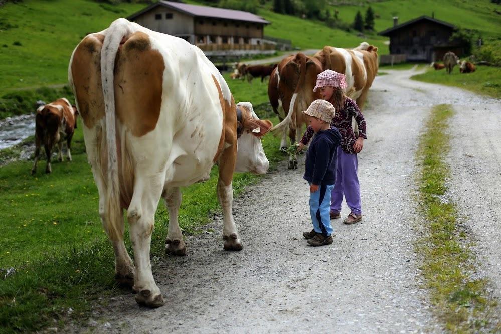 Farm Resort Geislerhof Gerlos Kültér fotó